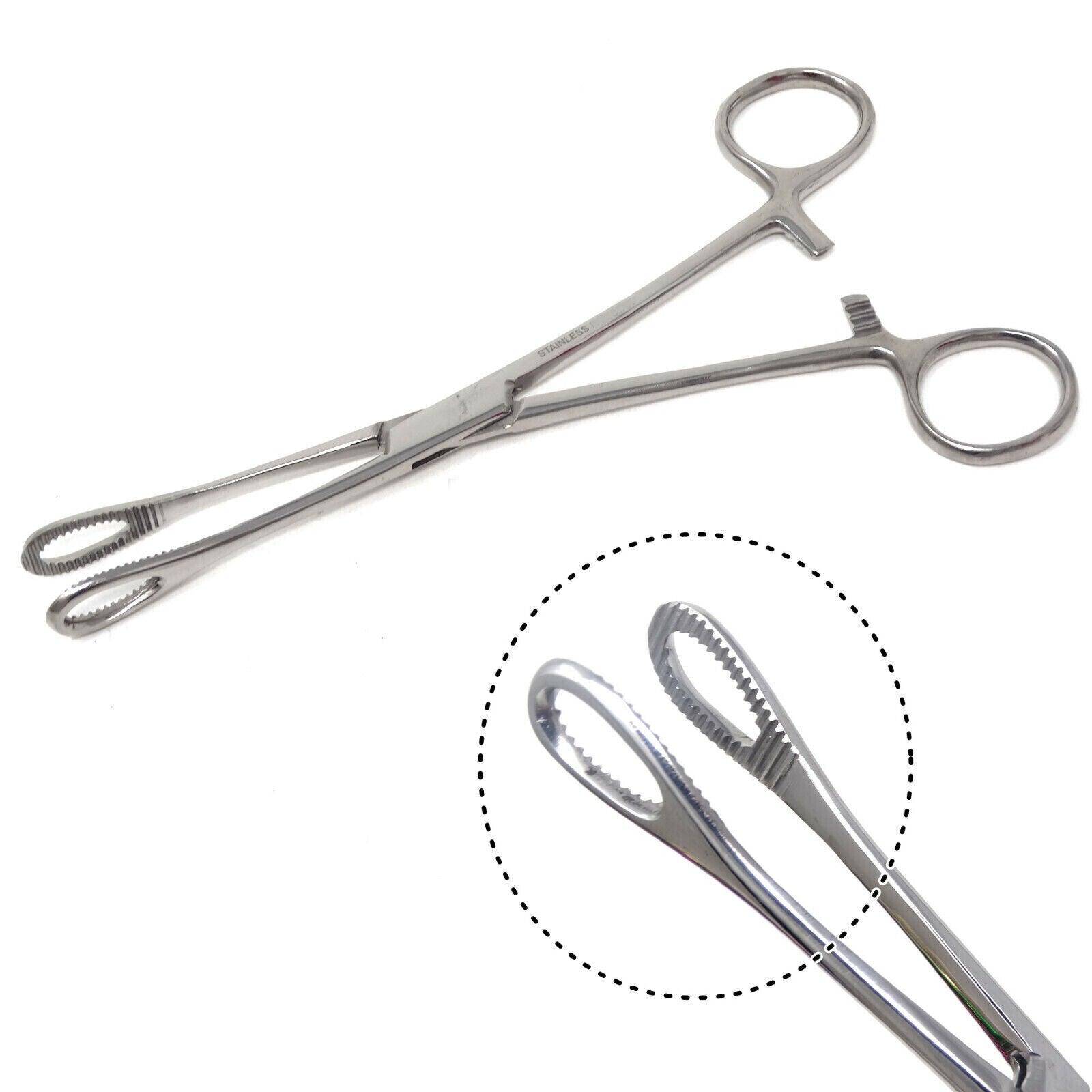 BODY PIERCING Forceps Kit Hemostat SPONGE CLAMP 7" Straight Stainless Steel, New