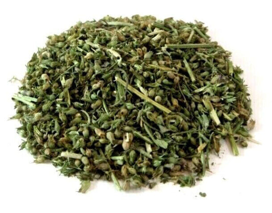 CATNIP Dried Cut ~ FRESH ~ Cats Kitten 100% Premium Treat FINE CUT